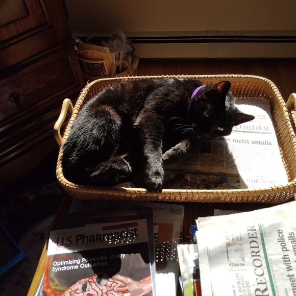 We like reasonable offers😻 - Picture 4 of 4